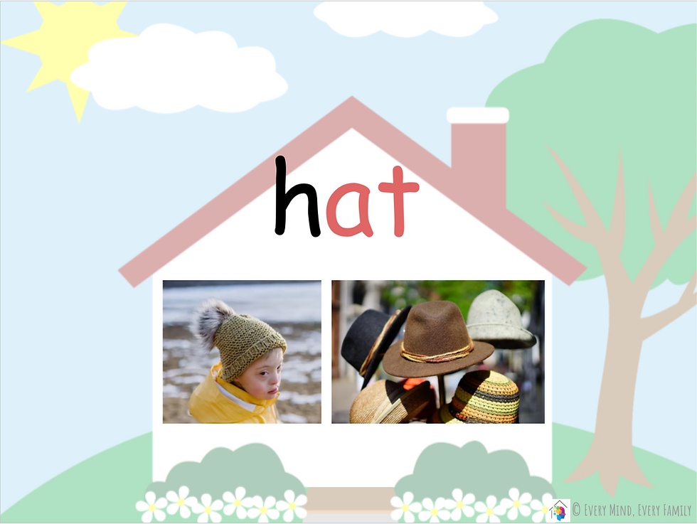 Thumbnail: Phonics CVC Word Family/Short Vowel Sounds (_a) - Science of Reading Aligned!
