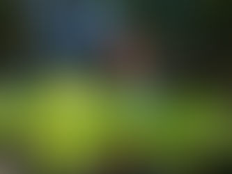 Hortas Pedagógicas como ferramenta de educação ambiental