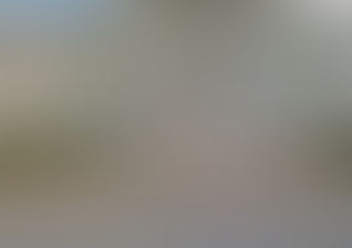 The Judges of the Bankruptcy Court in South Carolina