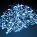 NN brain.jpg