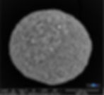 A neurosphere: prototype of a biocomputer made by FinalSpark.