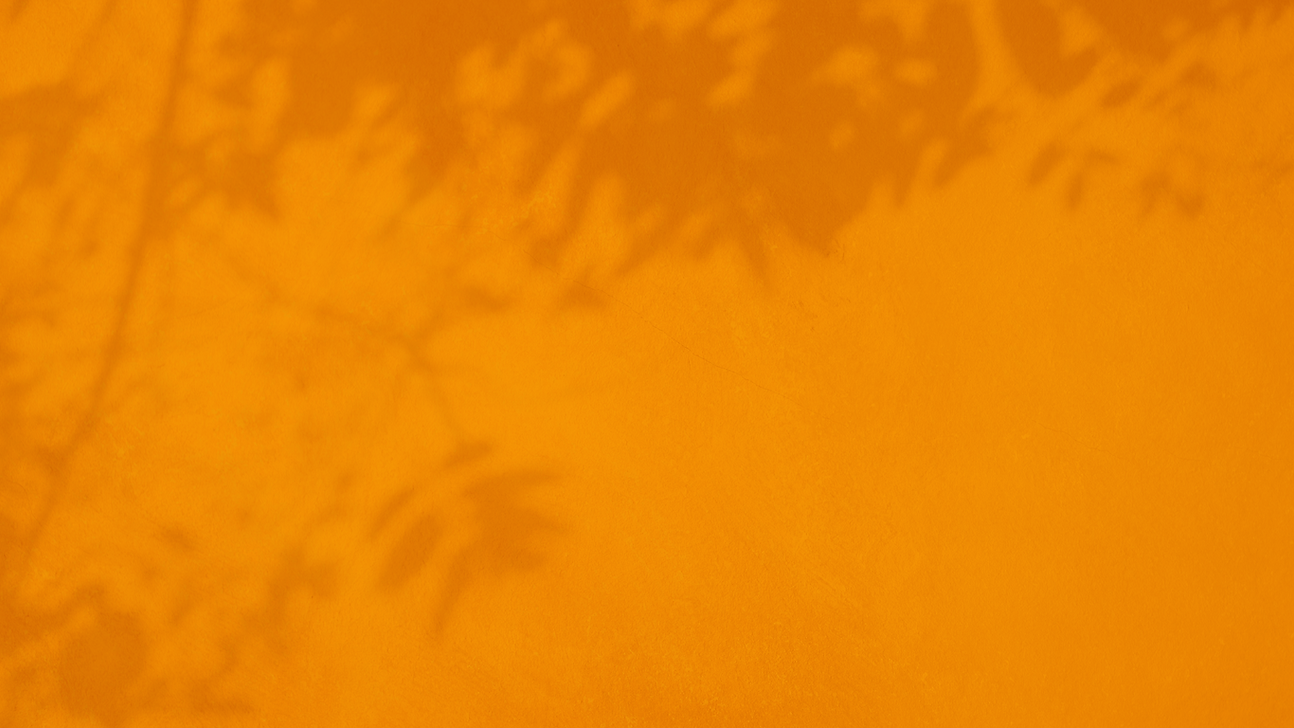 Untitled-2.png