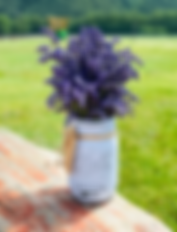$25 jar of lavender