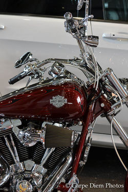 DSC_0044_7014.jpg