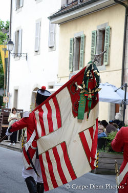 DSC_0533_7098.jpg
