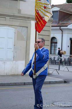 DSC_0535_7100.jpg