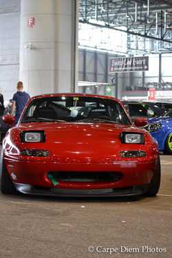 DSC_0007_6981.jpg