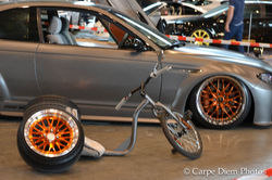 DSC_0080_7044.jpg