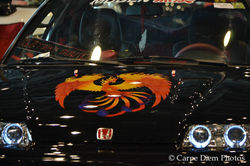 DSC_0099_7059.jpg
