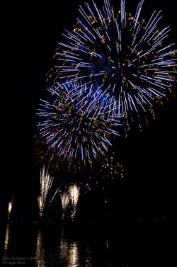 08082015-DSC_0548_15399.jpg