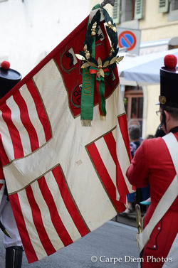 DSC_0534_7099.jpg