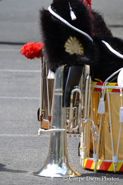 DSC_0017_972.jpg
