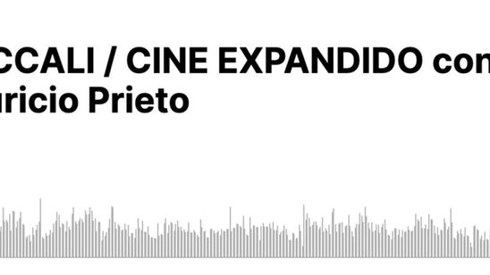 Acciones del Silencio. por lina González. https://www.spreaker.com/episode/ep159-especial-ficcali-cine-expandido-con-lina-gonzalez-y-mauricio-prieto--57509837