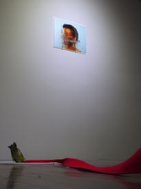 Exposición 
S.O.S , Bogota 2020