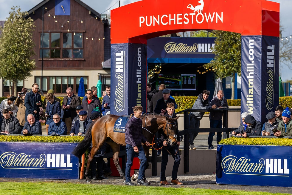 Punchestown 2026