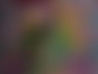 Model Risk Management (OSFI E-23)