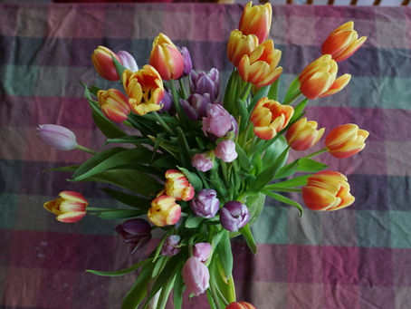 Model Risk Management (OSFI E-23)