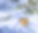 Citron_01-G_edited_edited_edited.png