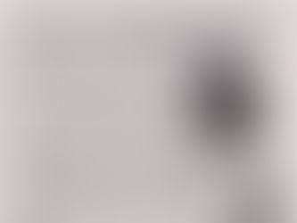 Forgotten Fury article Amsterdam News