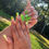 Thumbnail: Green Frenchies (M/L)