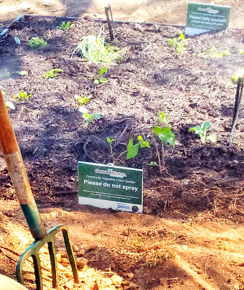 Veggie Verge complete