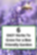6 Easy Herbs To Grow for a Bee Friendly Garden