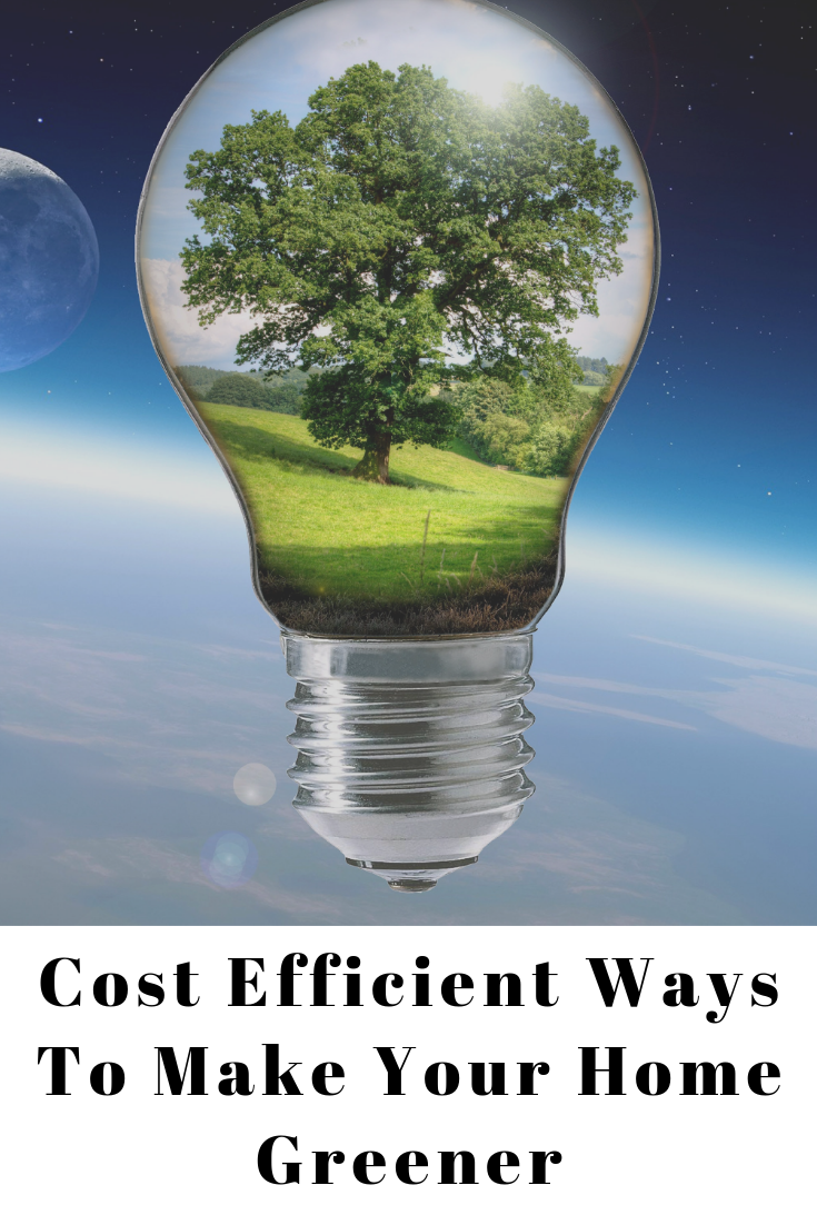 Cost-Efficient Ways to Make Your Home Greener