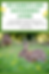 Pet Rabbits and Sustainable Living, rabbit on grass with dandelions