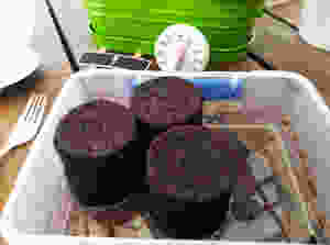 pellets after soaking