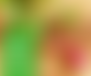 Summer Radishes and Recipe Ideas