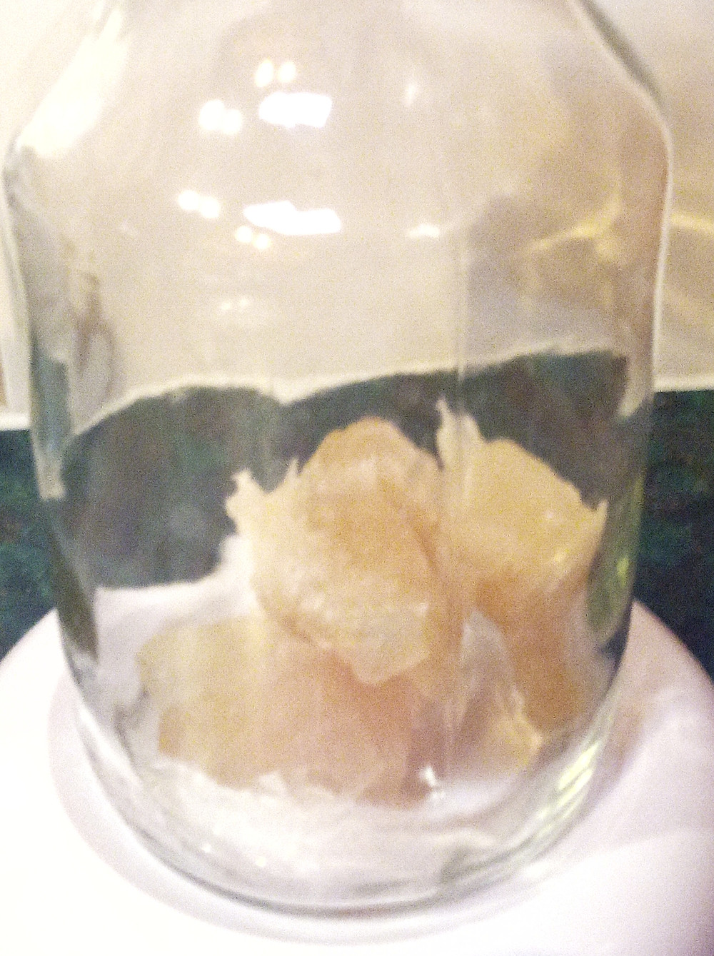 Diluting the Soap Nut Concentrate For Laundry Liquid
