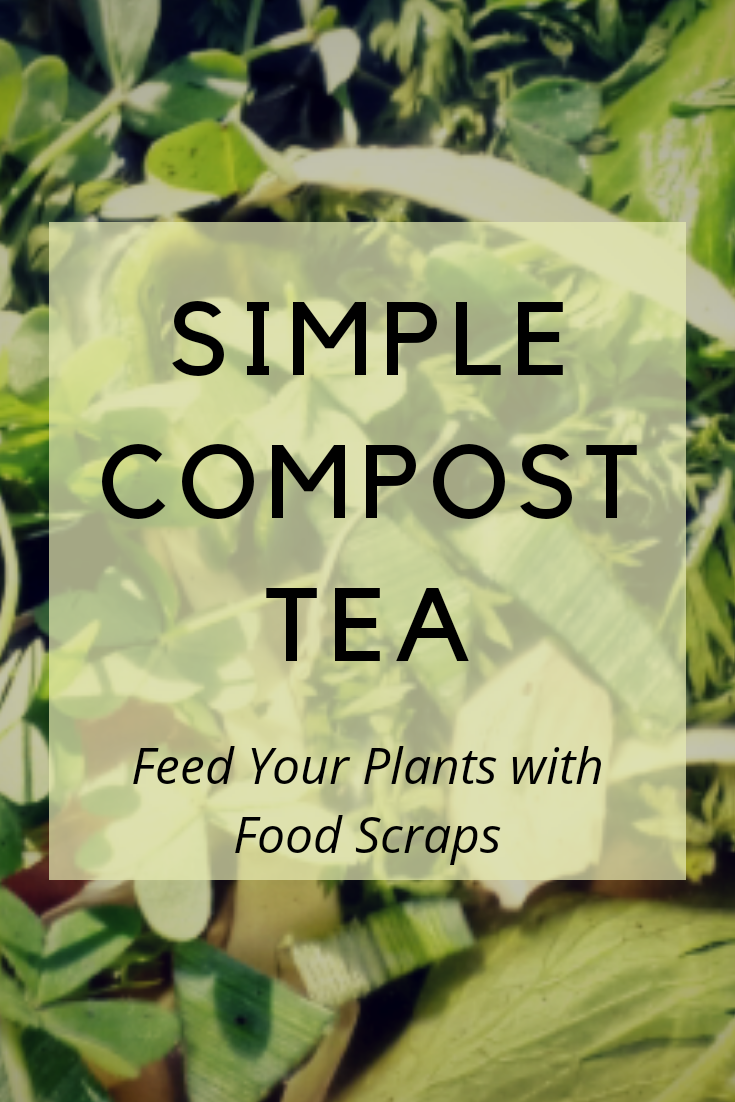 Simple Compost Tea : Feed your plants with food waste
