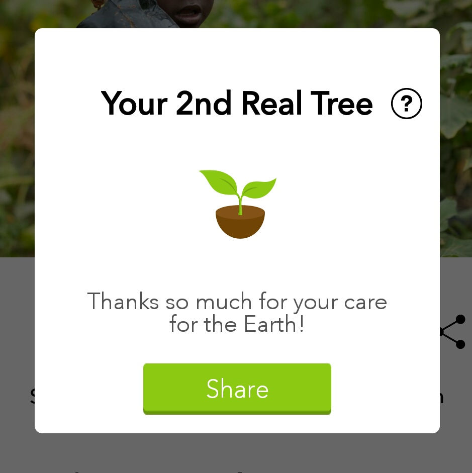 Forest App Review and Tips