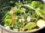 A healthy mix of food scraps to make compost tea