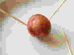 Supporting your avocado seed with toothpicks