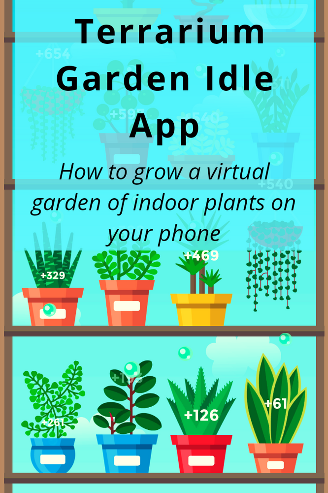 midnight planétarium watch price