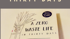 Book Review : A Zero Waste Life in 30 Days