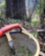 basket in forest