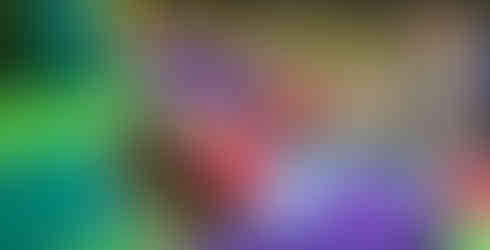 Two Squirrel Scouts climb onto an inflatable