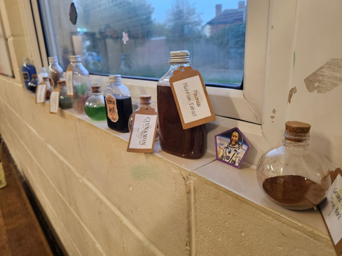 A row of various size and shaped plastic bottles line a windowsill. Each is filled with a different herb or coloured liquid and each has either a tag or stuck on label