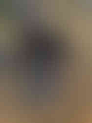 A Scout sits on gravel with a metal plate in front of him. On top are two cotton wool balls and he is using a ferro rod to try and ignite them. In front of the metal plate are two pieces of kindling wood