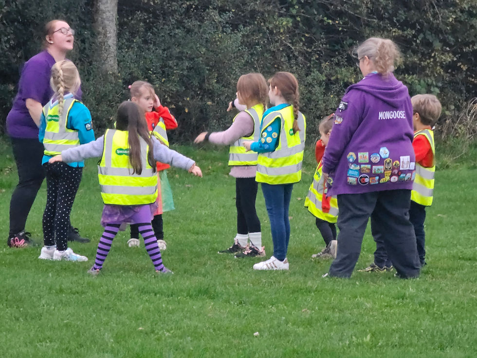 Squirrel and Beaver Scouts with two of their leaders play games in a field. There are trees and bushes at the back of view. The children are all wearing hi vis vests.