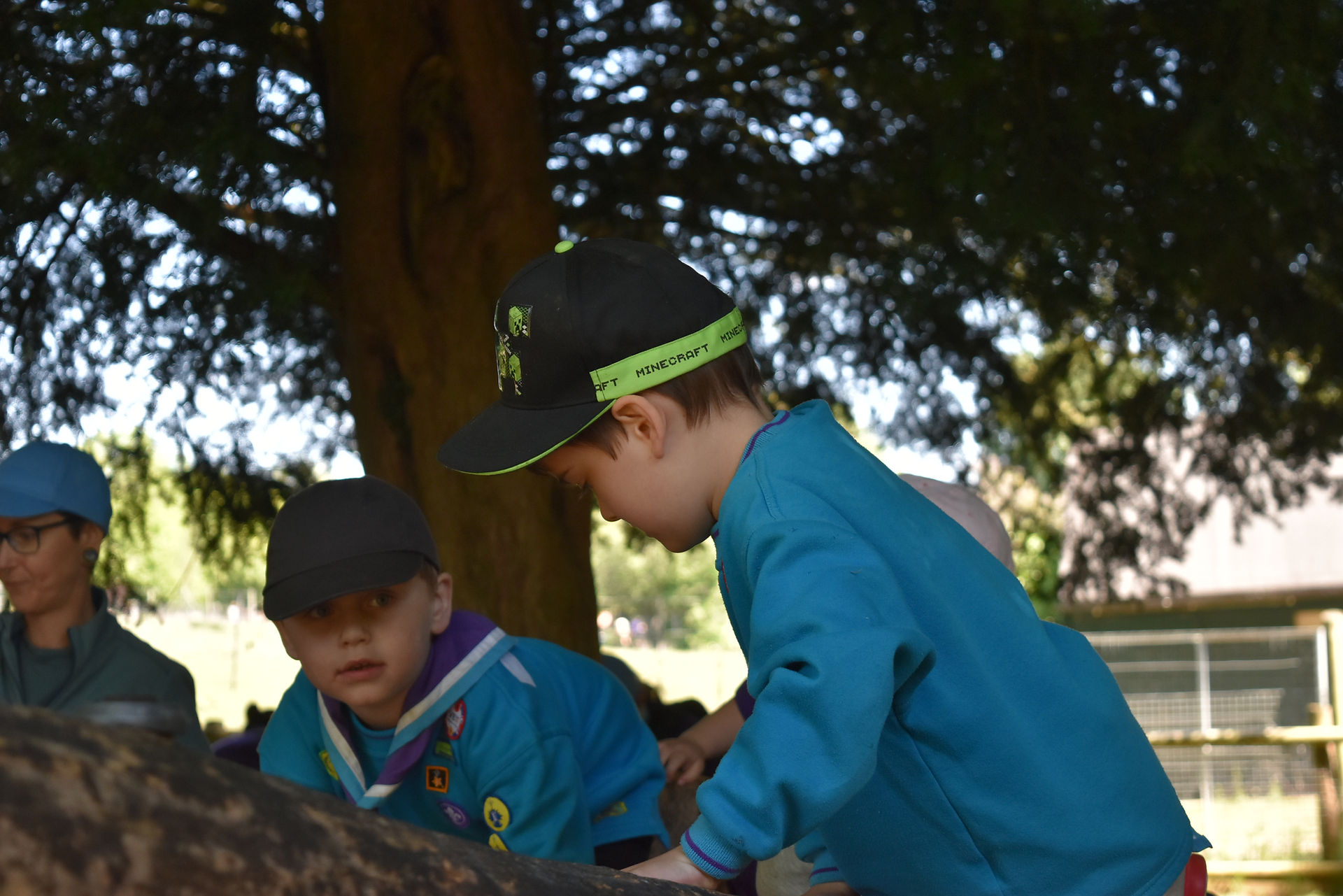 Beaver Scouts climb on the climbing frame