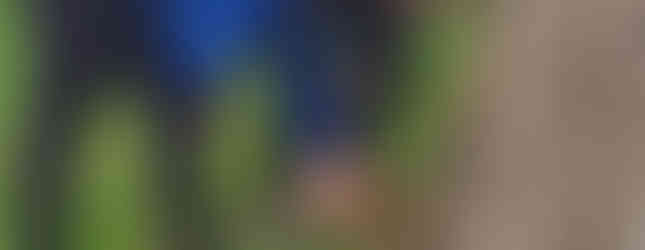 Two Scouts crouch at the base of a tree piling sticks