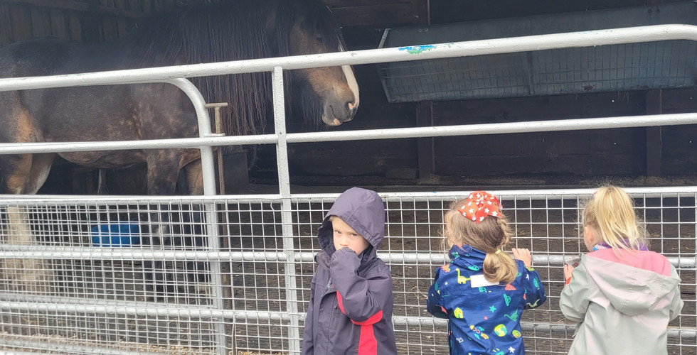 Three Squirrel Scouts stand next to a fence with a large horse on the other side