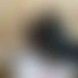 Two Scouts stand at a table which has a round tray and two square ones containing owl pellets to examine