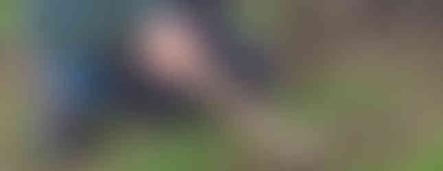 A Cub and a Scout crouch at the base of a tree making a bug hotel