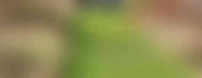 Three Scouts and an adult volunteer walk down a grass ramp with long grass either side of the green path. Behind them are trees and a gun emplacement