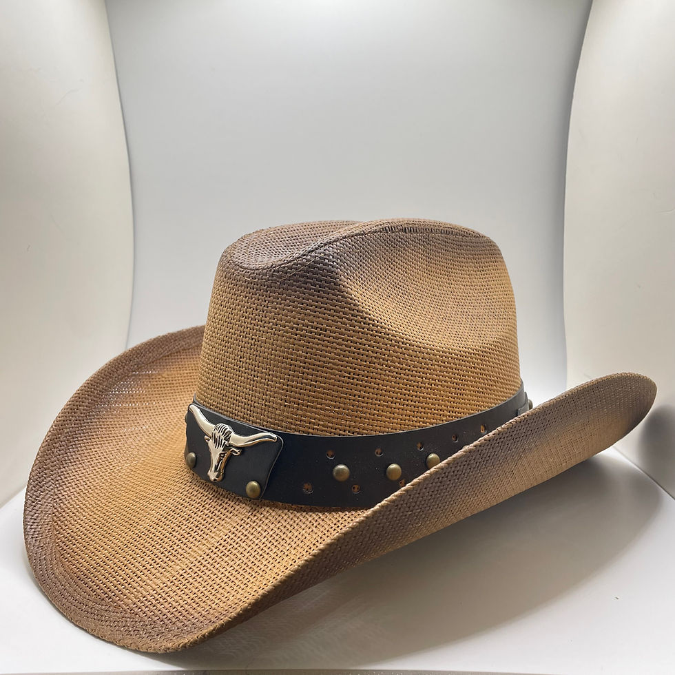 Cowboy Hat brown w/ bull head Vintage Western Shapeable Brim