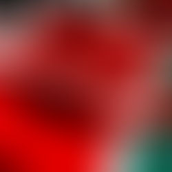 A Holiday Like No Other